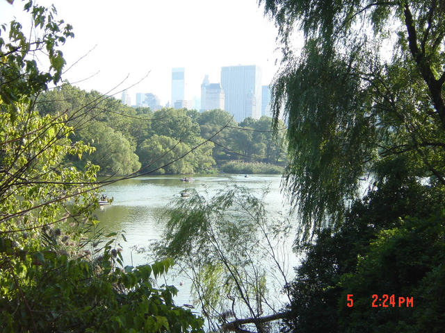 Central Park -- view of the lake
