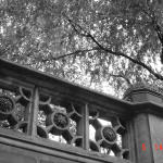 Central Park -- stairway rail