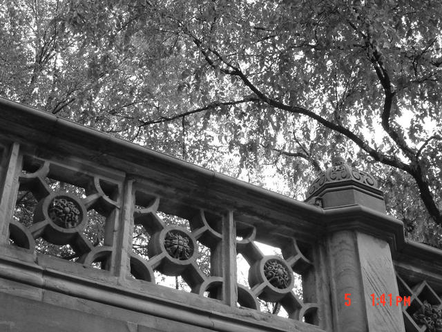 Central Park -- stairway rail