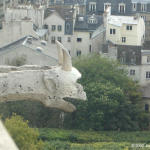 A garpoyle rain spout from the top railing of the upper gallery of the Notre Dame.