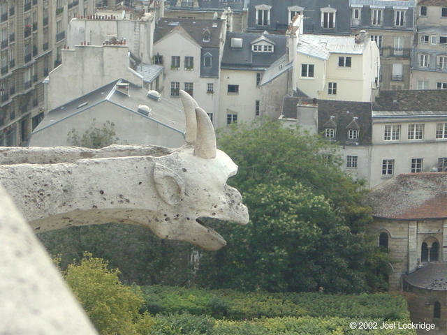 A garpoyle rain spout from the top railing of the upper gallery of the Notre Dame.