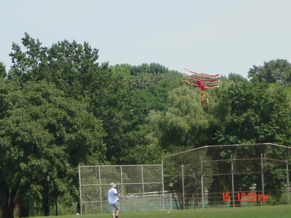 joefrog flies a kite