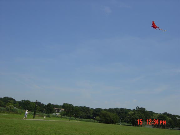 joefrog flies a kite during the blackout