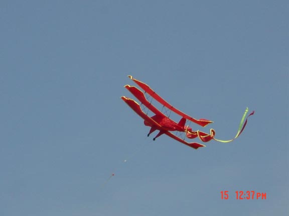 joefrog flies a kite