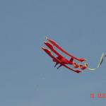 joefrog flies a kite