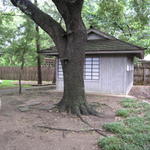 Shop in backyard