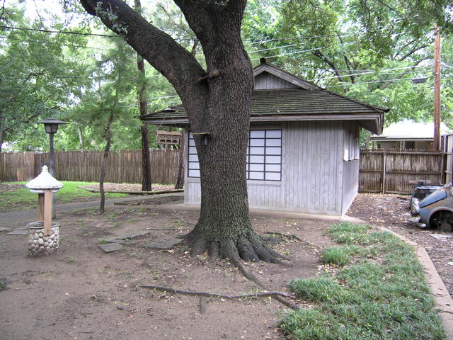 Shop in backyard