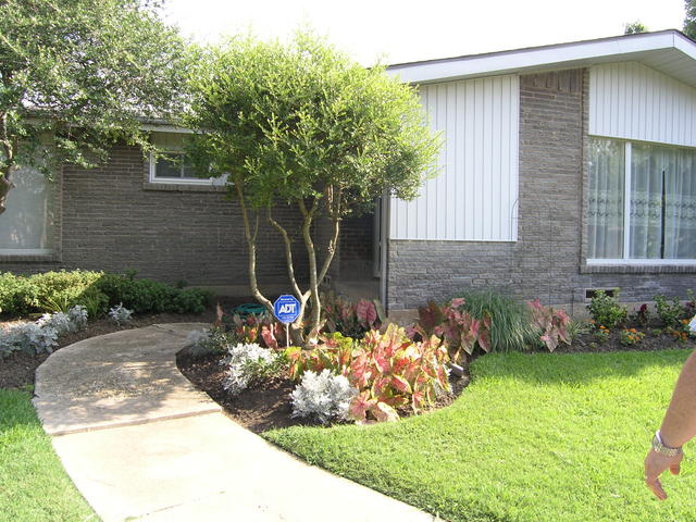 3124 Flowerdale