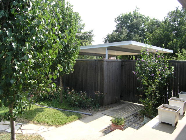 Backyard- carport