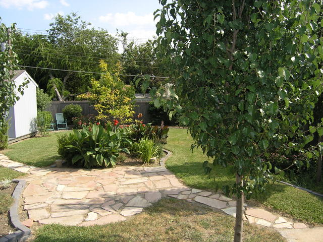 Center of the yard
