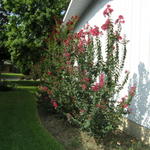 Side of the house facing the front