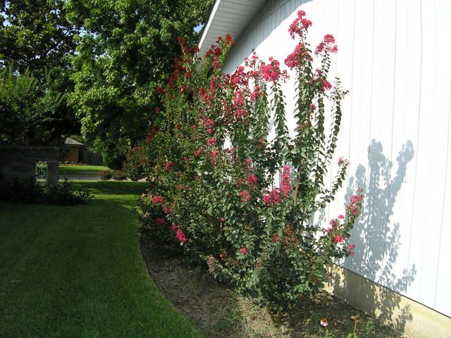 Side of the house facing the front