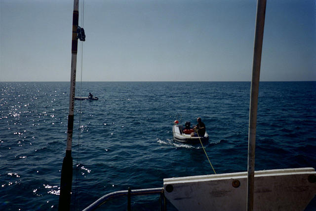 While snorkeling and spearfishing a small reef shark scared Bob out of the water. He pulled hisself in to the boat!