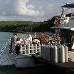 getting ready to head out for the morning dives