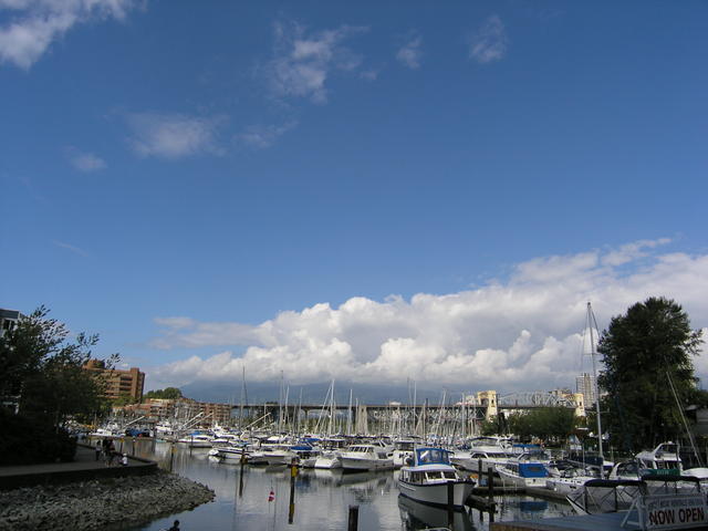 Shot of the sailboats.