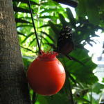 Butterfly at the Vancouver Aquarium.