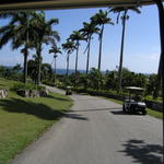 Taking a cruise on the golf cart... just wasting away