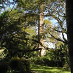 Tower from the water wheel (another side)