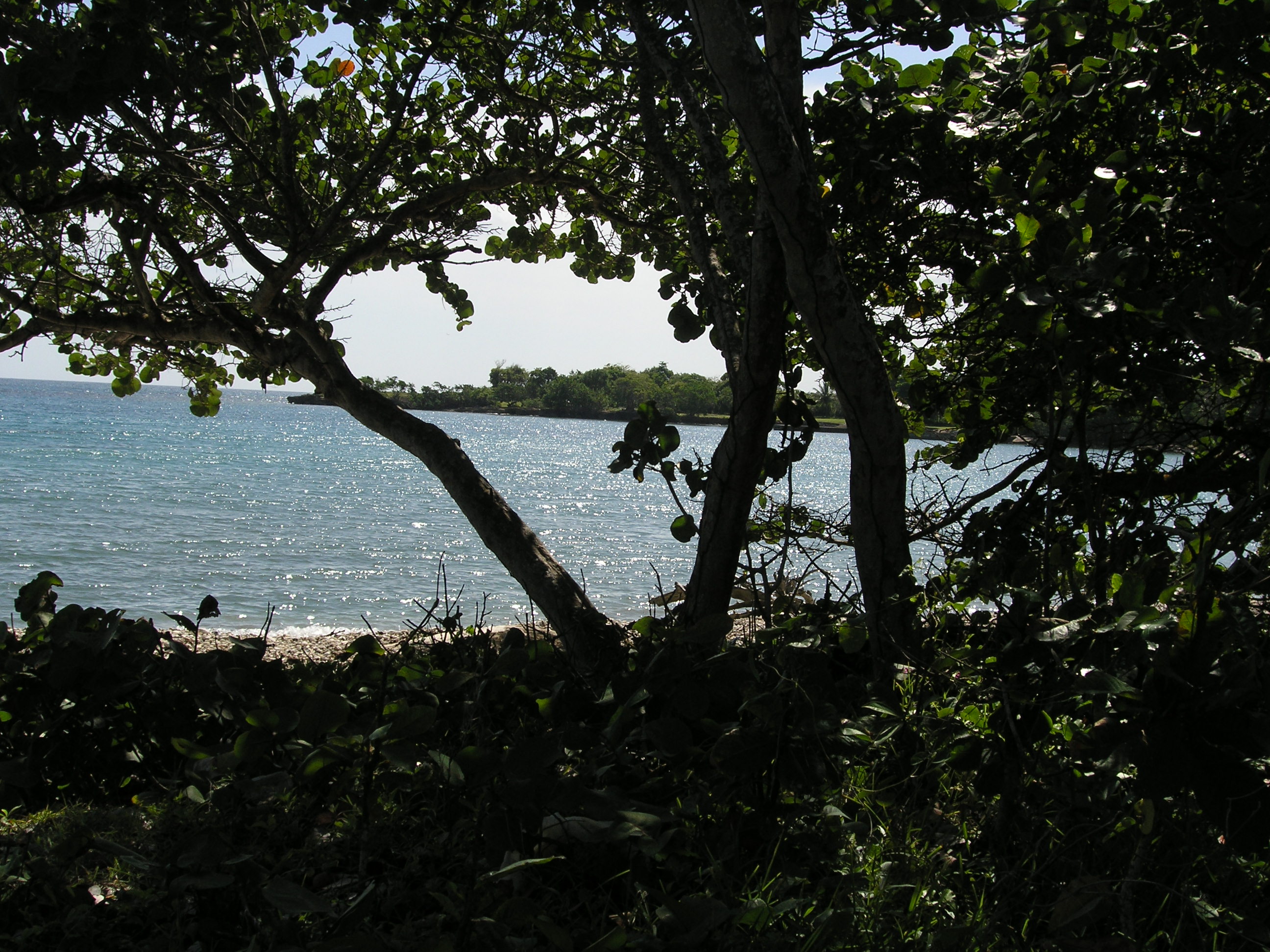 A short drive down to the rocky beach.  let's look for sea shells!