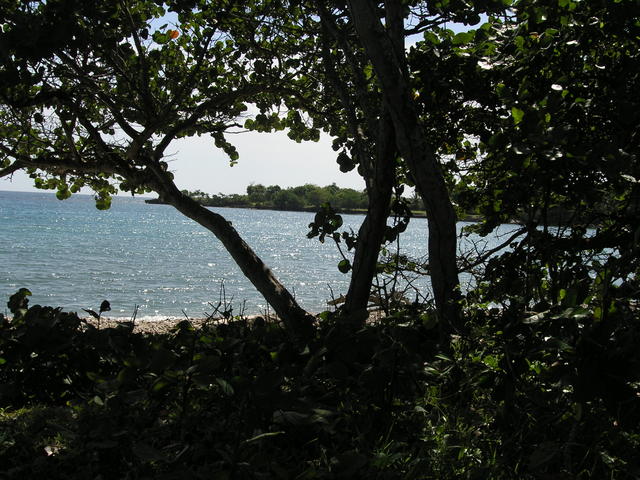 A short drive down to the rocky beach.  let's look for sea shells!