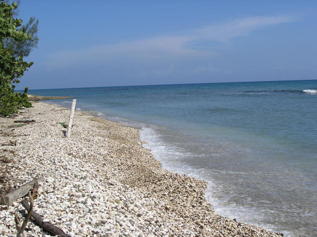 The rocky beach