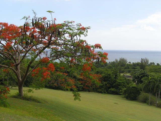 Pretty scene over the bluff