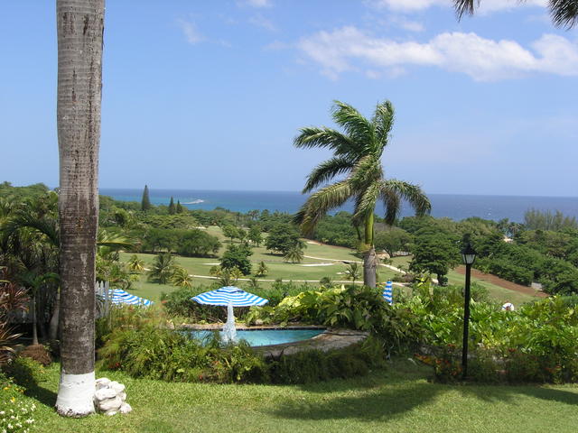 overlooking the property