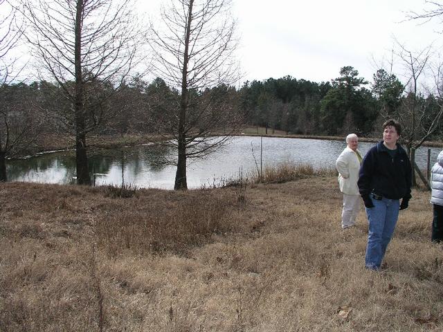 Pond March_2005_01.JPG