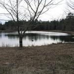 Pond March_2005_02.JPG