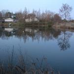 Pond_015.JPG