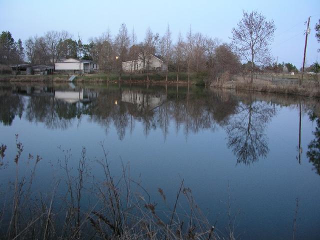 Pond_015.JPG