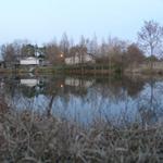 Pond_019.JPG