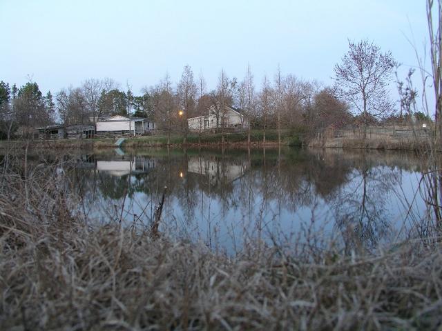 Pond_019.JPG