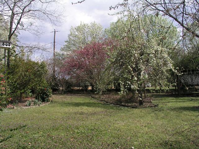 Yard_026.JPG