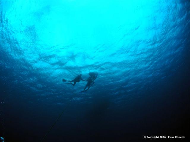 Divers at line