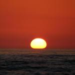 Sunset - Longboat Key, FL