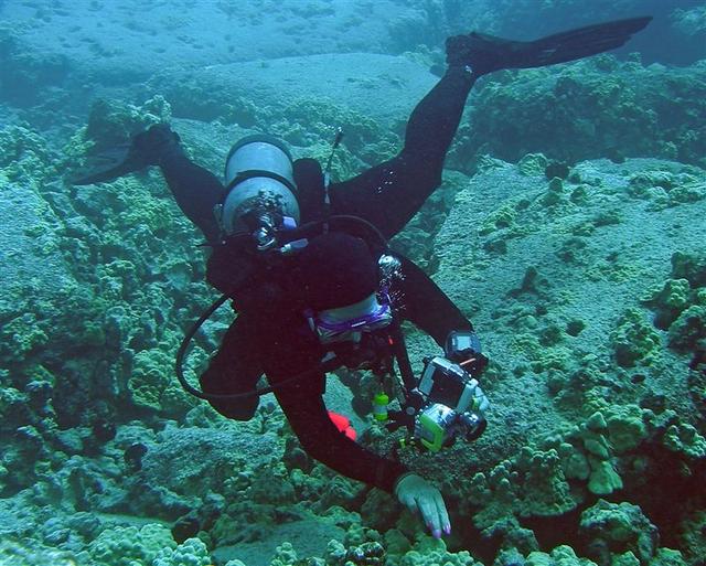 konamadelinediving