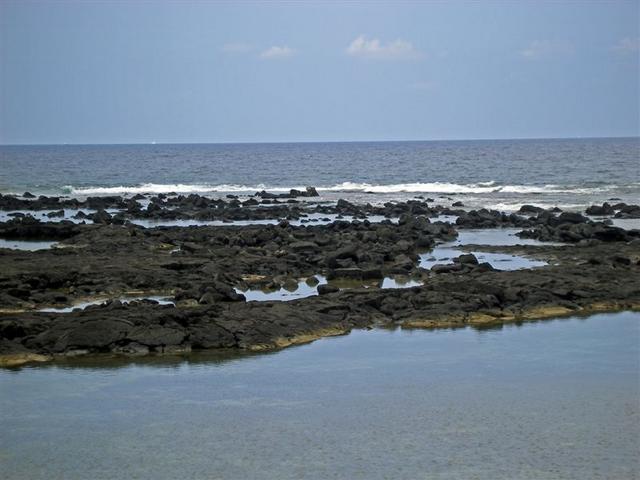 konaturtlerestingplace