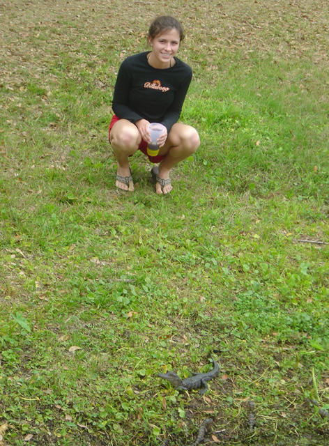 Rana checking out a baby gator