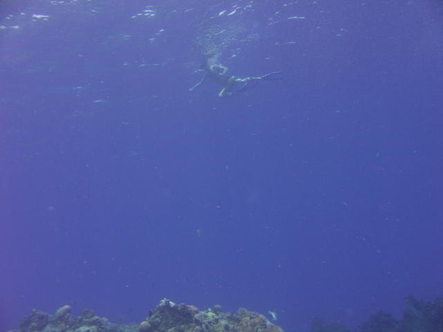 Snorkler at Palancar Gardens, from our boat.